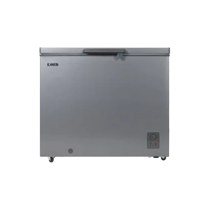 Kord CF-208DG