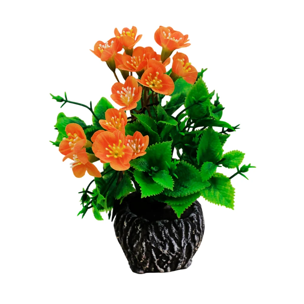 https://decora-group.ams3.cdn.digitaloceanspaces.com/domus/media/129093/RE-00104337.webp