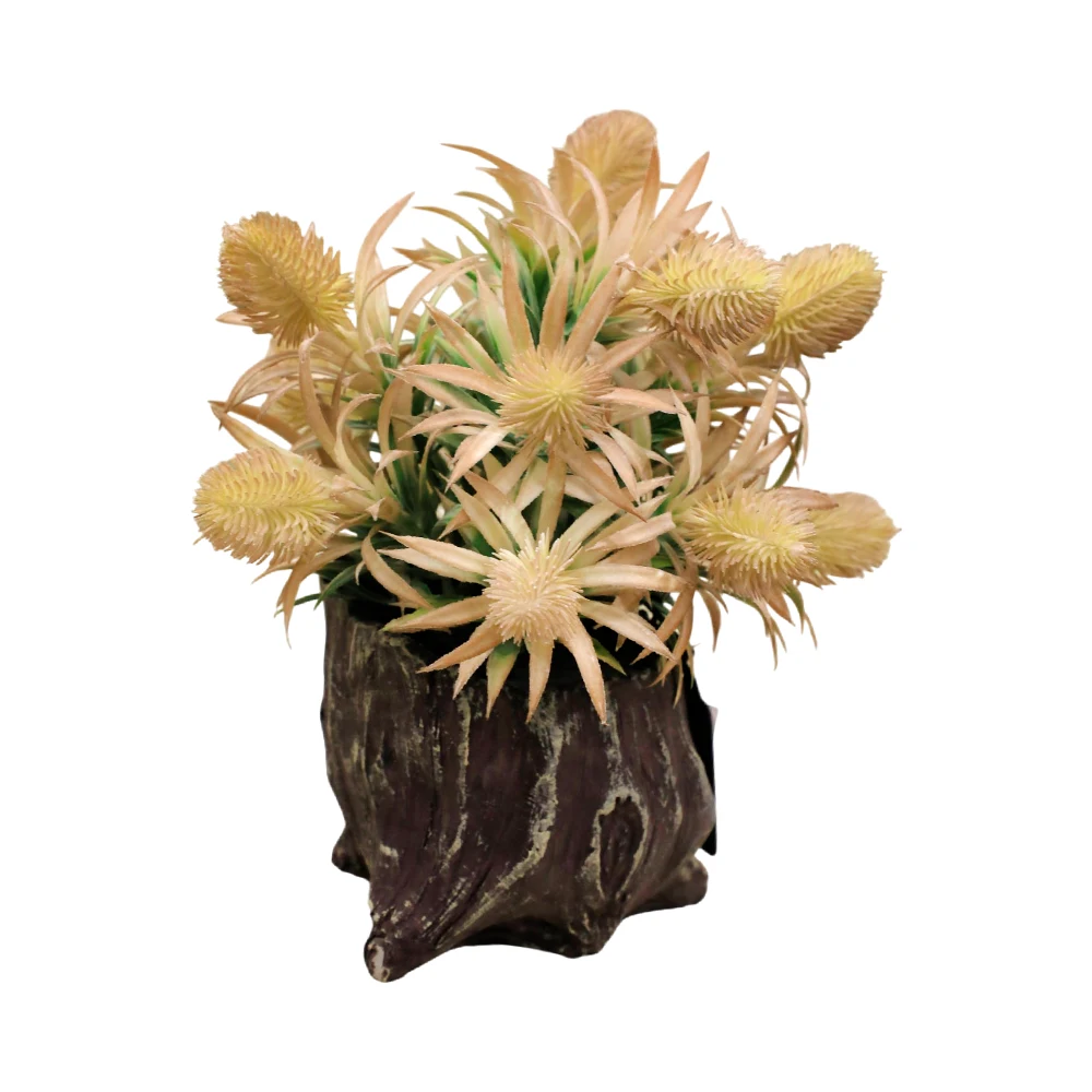 https://decora-group.ams3.cdn.digitaloceanspaces.com/domus/media/129131/RE-00104361.webp