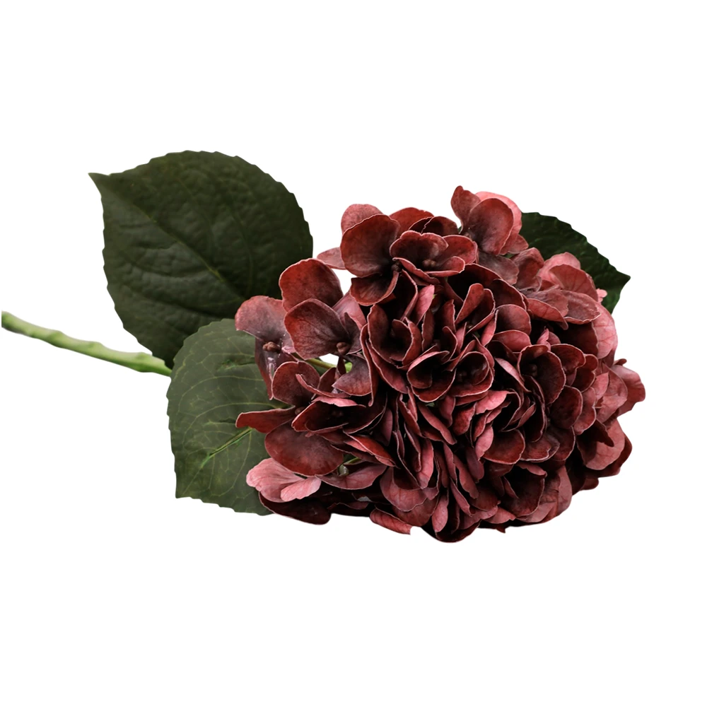 https://decora-group.ams3.cdn.digitaloceanspaces.com/domus/media/129971/RE-00104333-(1).webp