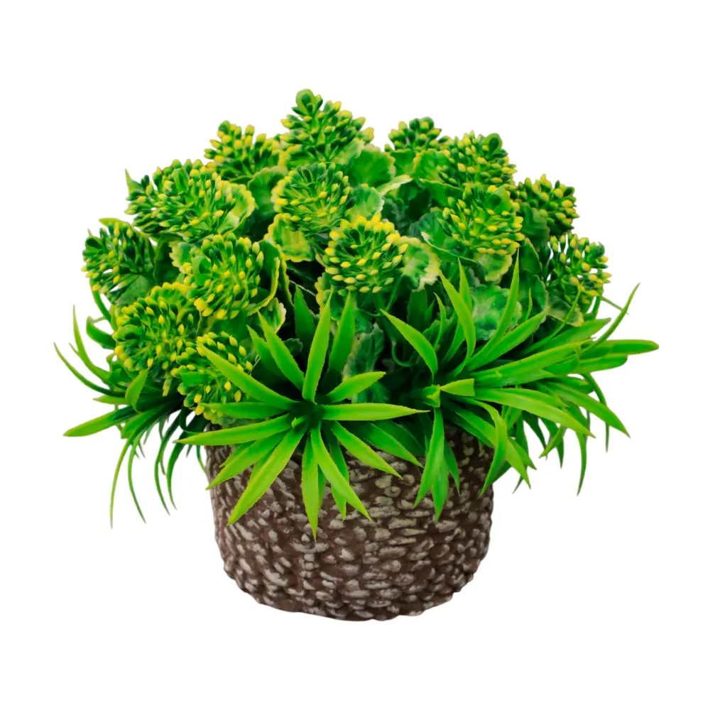 https://decora-group.ams3.cdn.digitaloceanspaces.com/domus/media/129984/RE-00104347.webp