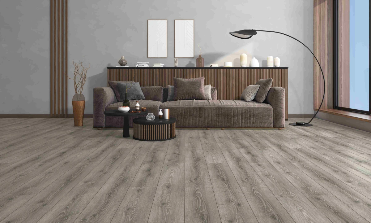 https://decora-group.ams3.cdn.digitaloceanspaces.com/domus/media/130433/laminate-flooring-collection-domus-.webp