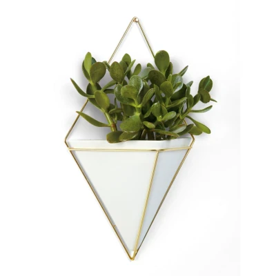 https://decora-group.ams3.cdn.digitaloceanspaces.com/domus/media/53082/conversions/A.large.webp