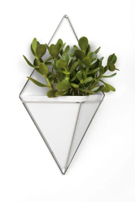 https://decora-group.ams3.cdn.digitaloceanspaces.com/domus/media/53098/conversions/A.large.webp