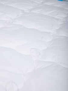 https://decora-group.ams3.cdn.digitaloceanspaces.com/domus/media/58381/IMG_9407.jpg