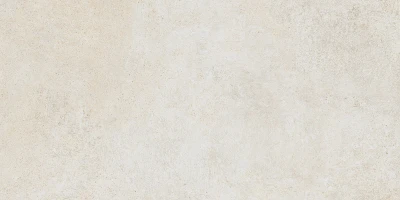 https://decora-group.ams3.cdn.digitaloceanspaces.com/domus/media/65150/conversions/Плитка-керамогранит-Grey-Soul-White-122-2x122-2-(Tuscania).large.webp