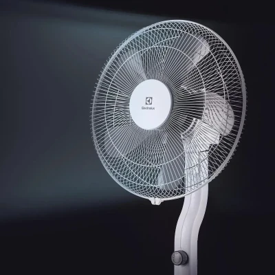https://decora-group.ams3.cdn.digitaloceanspaces.com/domus/media/66613/conversions/Electrolux-EFF-1003D-(3).large.webp
