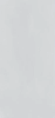 https://decora-group.ams3.cdn.digitaloceanspaces.com/domus/media/66816/conversions/Anison-Silver-60x120-(EEFA).large.webp
