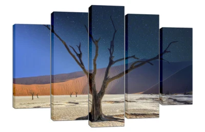 https://decora-group.ams3.cdn.digitaloceanspaces.com/domus/media/85224/conversions/953-Картина-модуль-из-5-частей-82x135-(Poster-line).large.webp