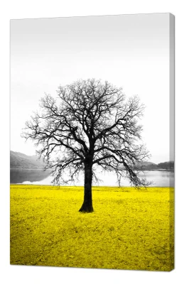 https://decora-group.ams3.cdn.digitaloceanspaces.com/domus/media/85265/conversions/42-Канвас-на-подрамнике-70x110-(Poster-line).large.webp