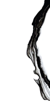https://decora-group.ams3.cdn.digitaloceanspaces.com/domus/media/85631/conversions/Black-Panda-80x160-1.large.webp