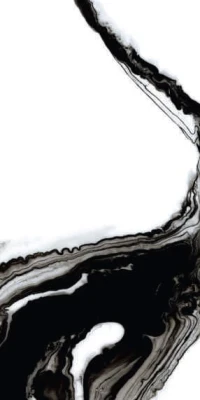 https://decora-group.ams3.cdn.digitaloceanspaces.com/domus/media/85634/conversions/Black-Panda-80x160-4.large.webp