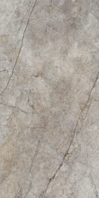 https://decora-group.ams3.cdn.digitaloceanspaces.com/domus/media/86613/conversions/RAIN-FOREST-NATURAL-PUL-60X120-R-01.large.webp