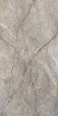 https://decora-group.ams3.cdn.digitaloceanspaces.com/domus/media/86614/conversions/RAIN-FOREST-NATURAL-PUL-60X120-R-02-(Копировать).large.webp