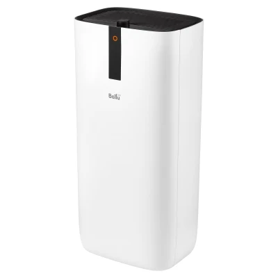 https://decora-group.ams3.cdn.digitaloceanspaces.com/domus/media/88779/conversions/Ballu-AP-107-(1).large.webp