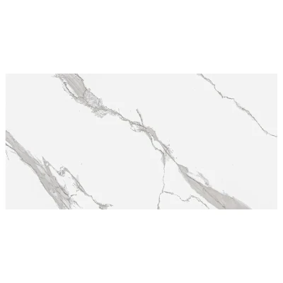 https://decora-group.ams3.cdn.digitaloceanspaces.com/domus/media/93149/conversions/CARRARA-POLARIS-PULIDO_F1(M).large.webp
