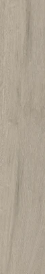 https://decora-group.ams3.cdn.digitaloceanspaces.com/domus/media/93355/conversions/NUANCE-GREY-20X120-02.large.webp